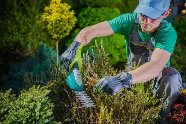 landscaping services Villa Hills